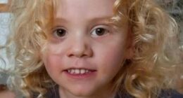 Police resume Gus Lamont search 165 days after he vanished