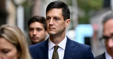 Politician admits sex with boy, 13