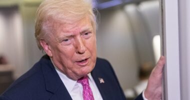 Poll: Trump approval rating rebounds