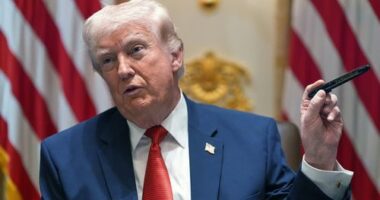 Donald Trump speaking about his favourite pen at a cabinet meeting today.