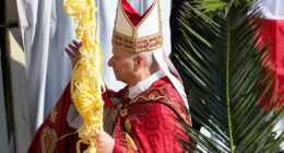 Pope Leo XIV opens Holy Week with Palm Sunday that recalls final days of Pope Francis' life