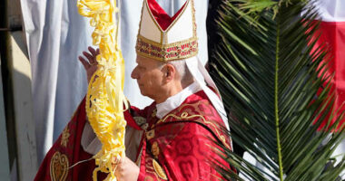 Pope Leo XIV opens Holy Week with Palm Sunday that recalls final days of Pope Francis' life