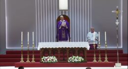 Pope Leo ceasefire calls: Pope Leo XIV escalates call for ceasefire by addressing those responsible for Iran war