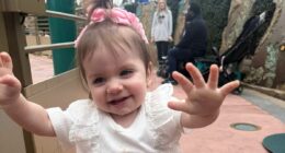 Posie, the miracle baby, was born after her mother fell to her death