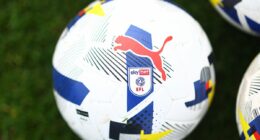 Premier League cult hero sacked by EFL club amid relegation concerns