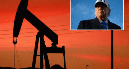 President Donald Trump orders oil drilling in California