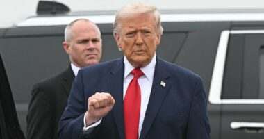 President Donald Trump salutes coffins of six fallen soldiers killed