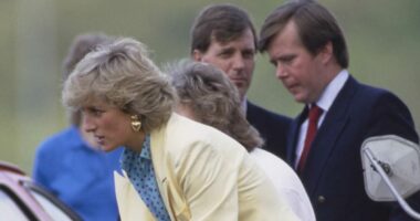 Princess Diana's bodyguard brands Andrew 'arrogant individual'