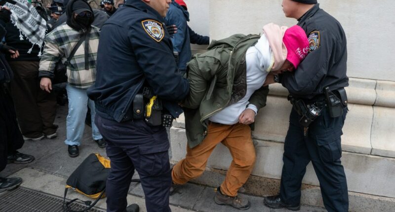 Pro- and anti-Khamenei protesters clash at Washington Square Park, multiple arrests made