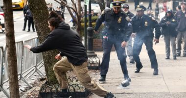 Protesters throw smoke bombs, clash over Jake Lang pig roast at ‘anti Islamification’ rally at Gracie Mansion