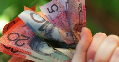 Cash supporters are calling on the federal government to expand the cash mandate.