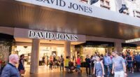 David Jones' average overdue payments to suppliers were 16 days - more than double the industry average, according to a new report by a commercial credit agency