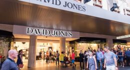 David Jones' average overdue payments to suppliers were 16 days - more than double the industry average, according to a new report by a commercial credit agency
