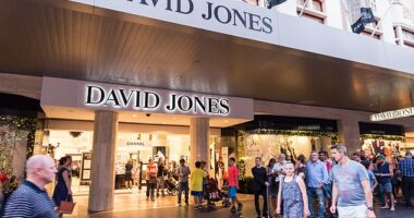 David Jones' average overdue payments to suppliers were 16 days - more than double the industry average, according to a new report by a commercial credit agency