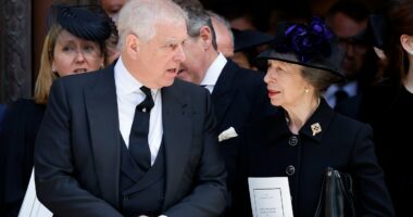 RICHARD KAY: Surprising offer Princess Anne made to Andrew