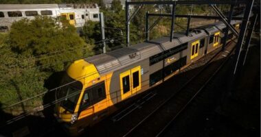 Rail union calls for free public transport as fuel crisis continues