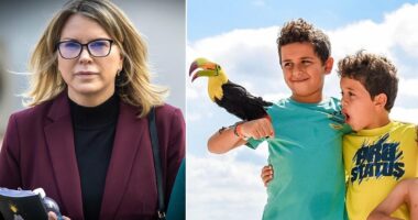 Rebecca Grossman stays in jail after appeal loss for killing two boys