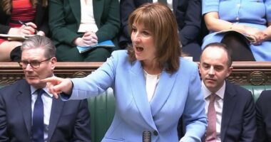 Reeves attacks Brexit saying Tories were 'wrong' to support leaving EU