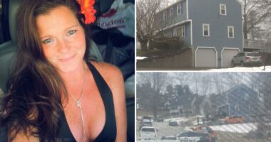 Remains found buried under garage assumed to be woman missing over a year: officials