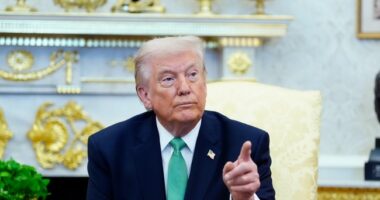 Report: Here's the Leader Trump Is Talking With - It's Not 'Cardboard Moqtaba'