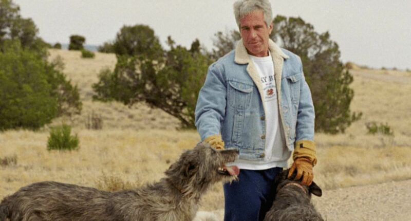 Republican slams Trump DOJ for shutting down investigation into Epstein's Zorro Ranch: 'It's a failure'