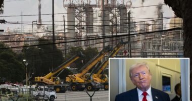 Republicans call for Trump to seize California oil production over ‘national security’ fears