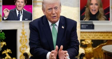 Republicans overwhelmingly back Trump over Tucker Carlson, Megyn Kelly on Iran war, poll finds