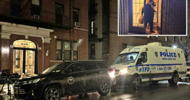 Retired math teacher, 75, stabbed to death by 'mentally ill' tenant inside NYC apartment: neighbor