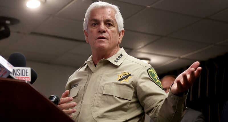 Revealed: Dark past of embattled sheriff in Nancy Guthrie case