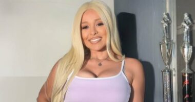 Rihanna shooting suspect pleads not guilty to firing at singer's home