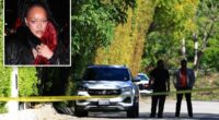 Rihanna’s Beverly Hills mansion is shot at while singer was home, woman, 30, arrested