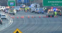 'Road rage incident' turns deadly as Virginia highway stabbing leaves 2 people dead; dog also killed