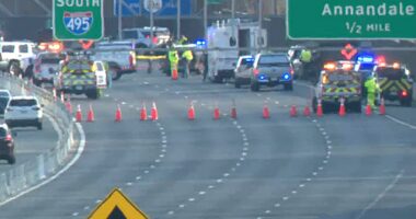 'Road rage incident' turns deadly as Virginia highway stabbing leaves 2 people dead; dog also killed