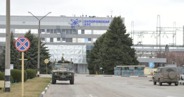 Russia, Ukraine agree to allow repairs at Zaporizhzhia nuclear plant