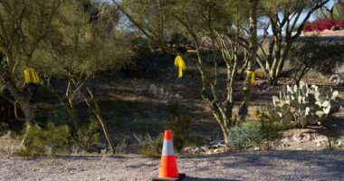 SAVANNAH GUTHRIE MOM MISSING: DAY 35