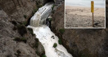 San Diego hires D.C. lobbyists to tackle Tijuana River sewage crisis