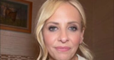 Sarah Michelle Gellar 'blindsided' as Hulu cancels Buffy reboot