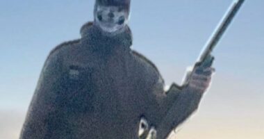 Schoolboy 'white supremacist' detained after sharing terror material