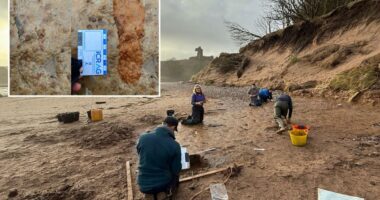 Scottish couple walking their dogs make stunning 2,000-year-old discovery on a beach