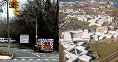 Second Riker's inmate dies in less than week