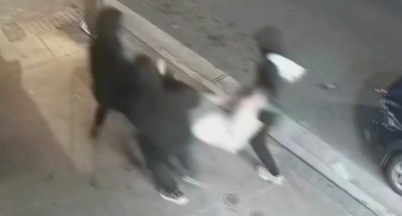 Second person charged after alleged kidnapping in south-west Sydney