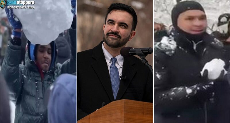 Second suspect arrested after NYC snowball fight sends 2 police officers to hospital