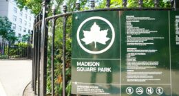 Security guard shot near NYC's Madison Square Park in broad daylight attack