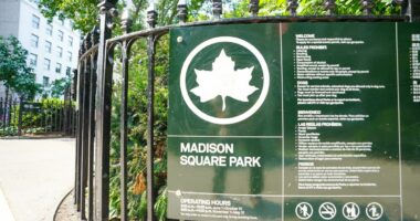 Security guard shot near NYC's Madison Square Park in broad daylight attack