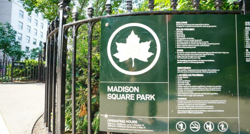 Security guard shot near NYC's Madison Square Park in broad daylight attack