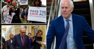 Sen. John Cornyn calls on Republicans to change filibuster rules to pass SAVE America Act, reopen DHS