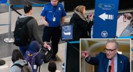 Senate Dems refuse to end DHS shutdown as airport TSA workers suffer