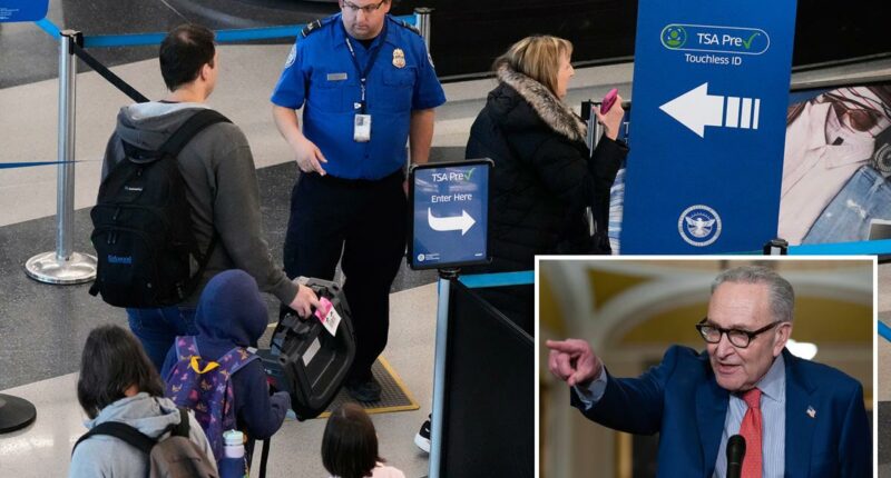 Senate Dems refuse to end DHS shutdown as airport TSA workers suffer