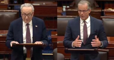 Senate approves funding for TSA and most of Homeland Security, but not immigration enforcement