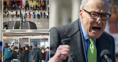 Senate fails to end DHS shutdown for a fifth time as airline passengers endure travel chaos